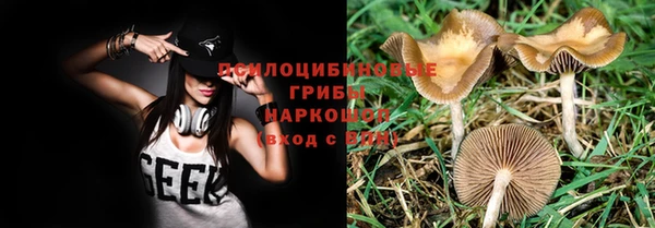 дживик Алексеевка