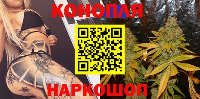 прущие грибы Донской