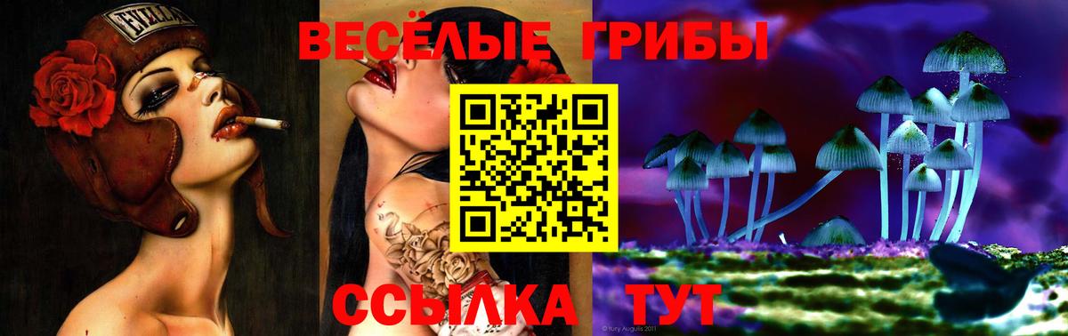 Галлюциногенные грибы Psilocybe Ливны